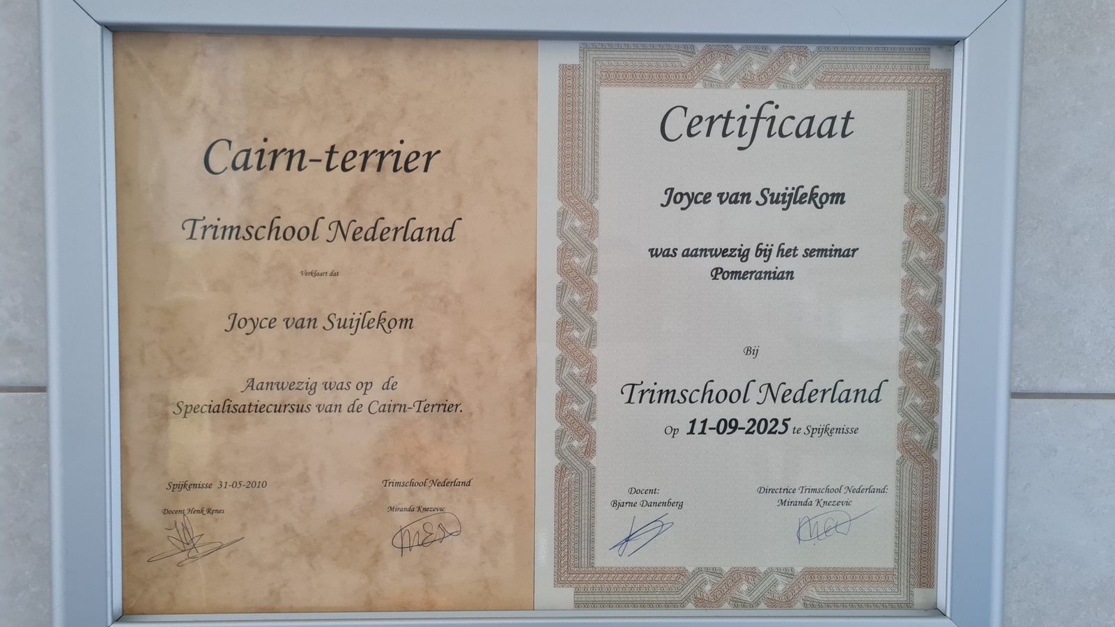 De twee ingelijste certificaten van Trimschool Nederland op naam van Joyce van Suijlekom